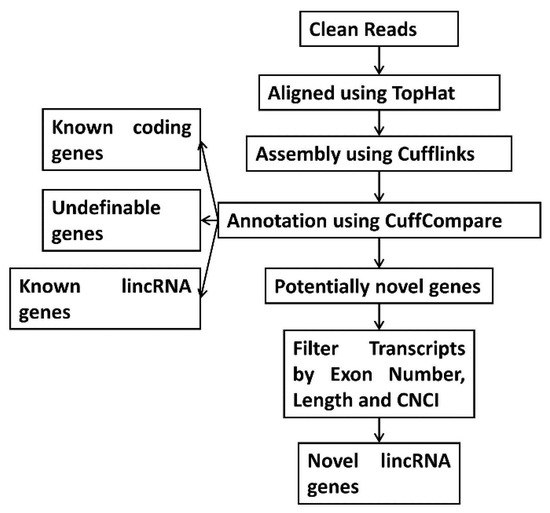 Animals 10 00119 g0a1