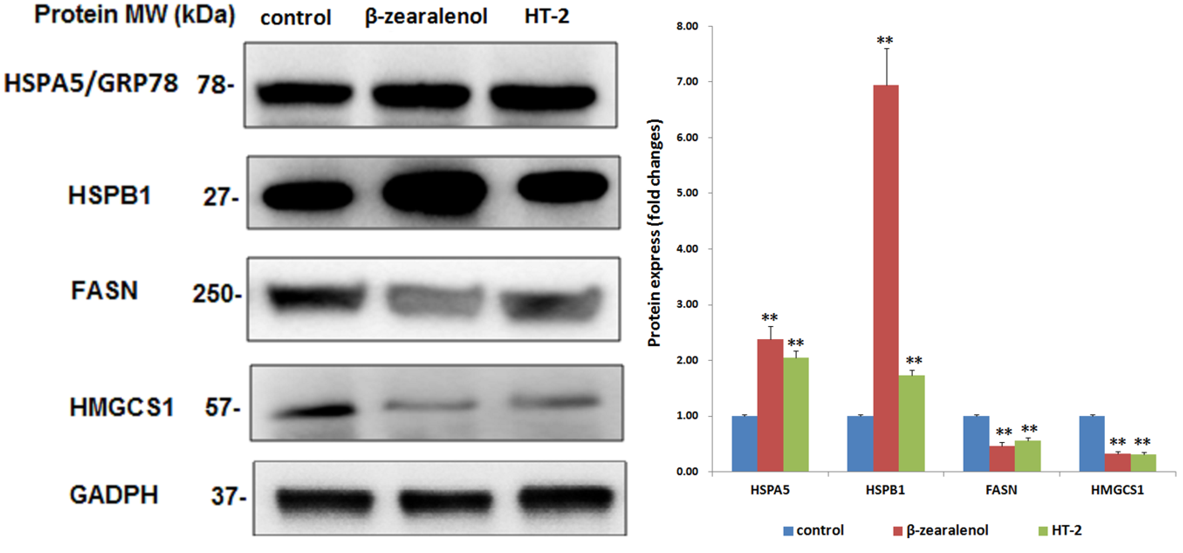 Animals 10 00130 g004