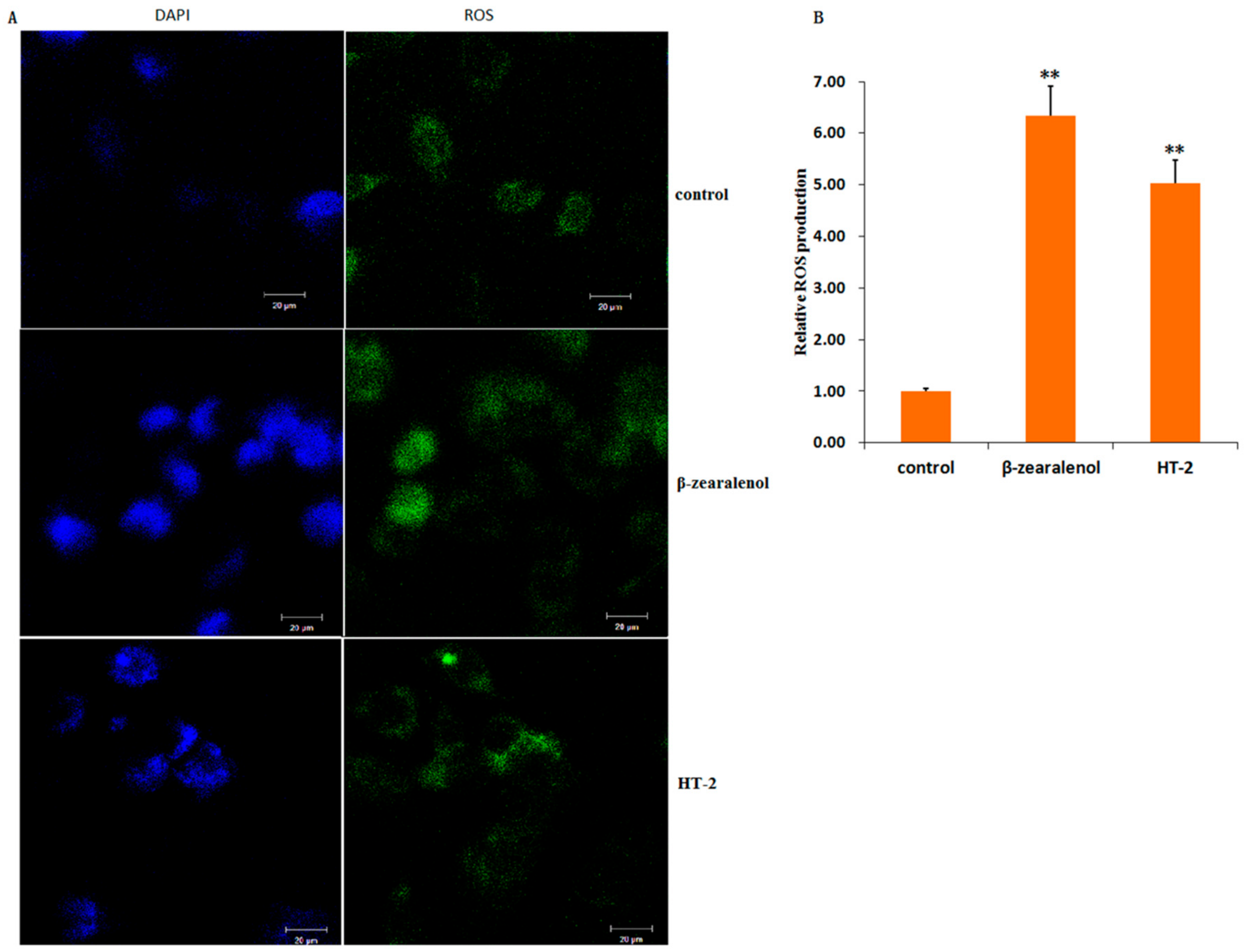 Animals 10 00130 g007