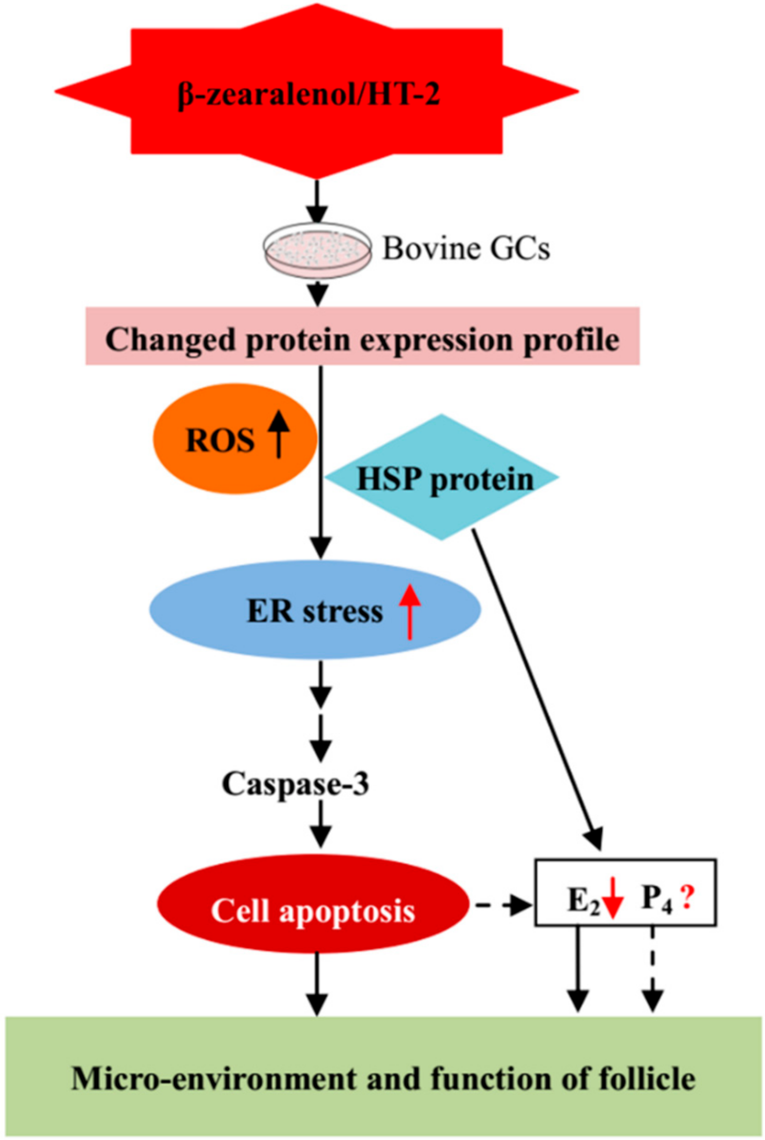 Animals 10 00130 g008
