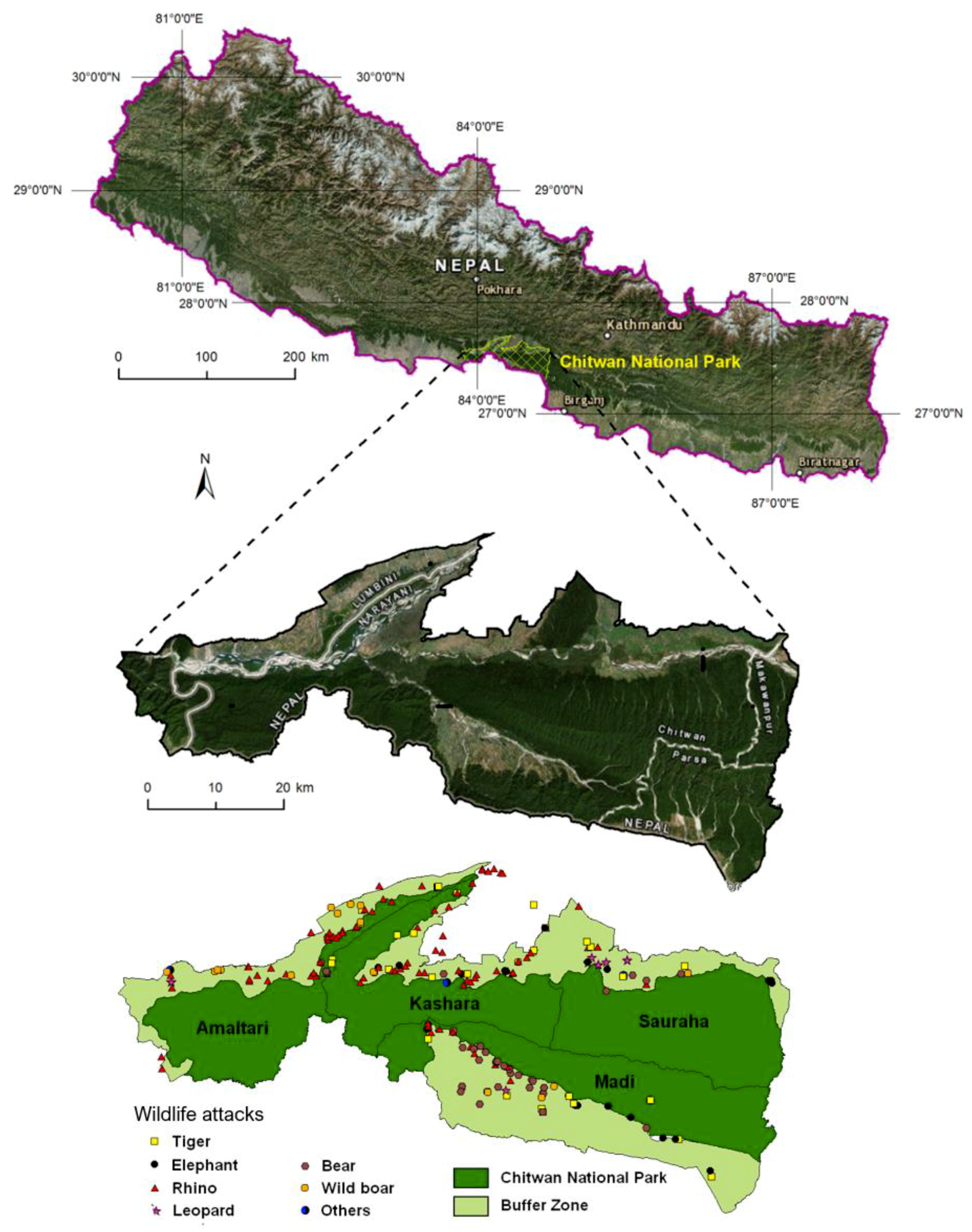 Animals 10 00153 g001