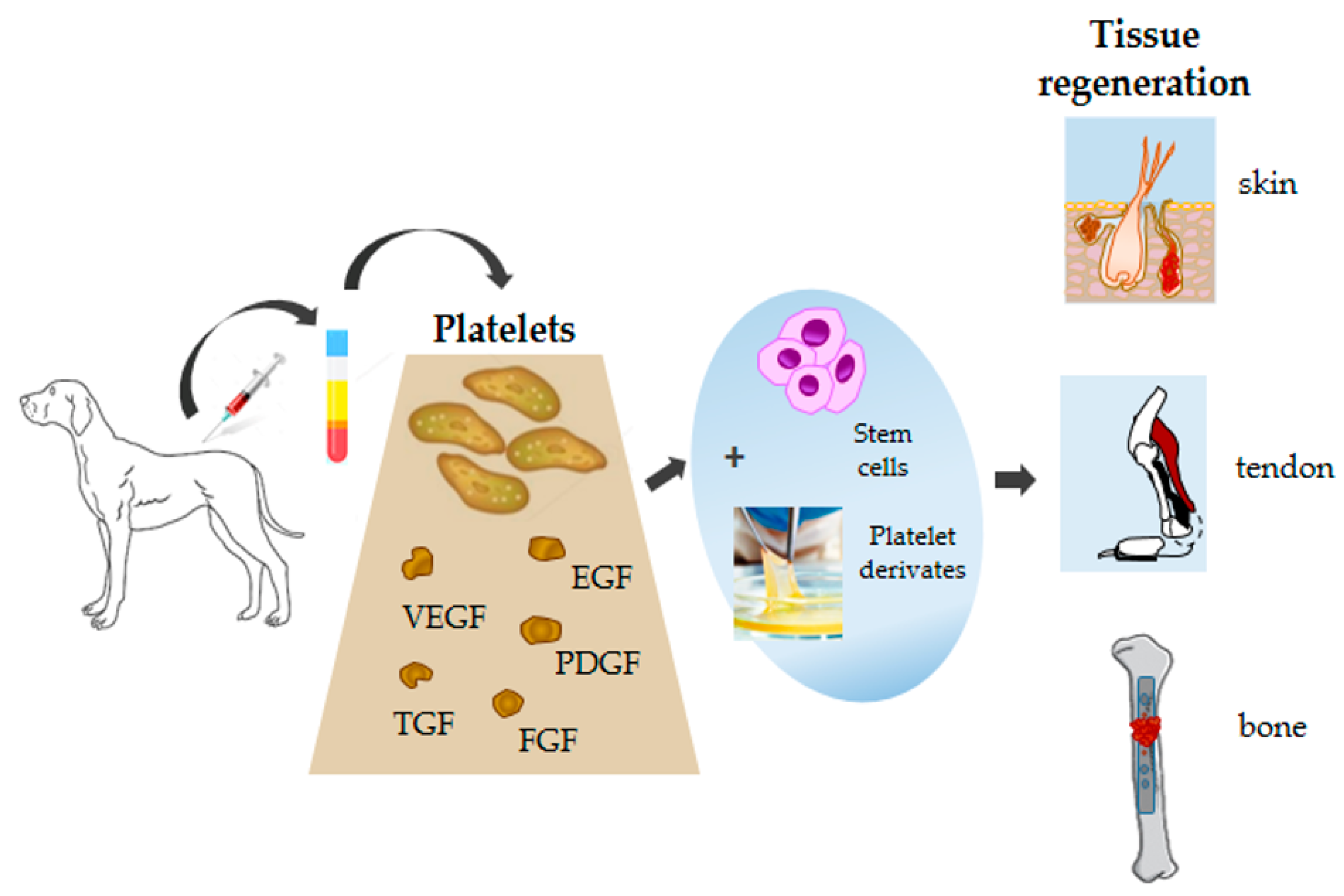 Animals 10 00201 g003