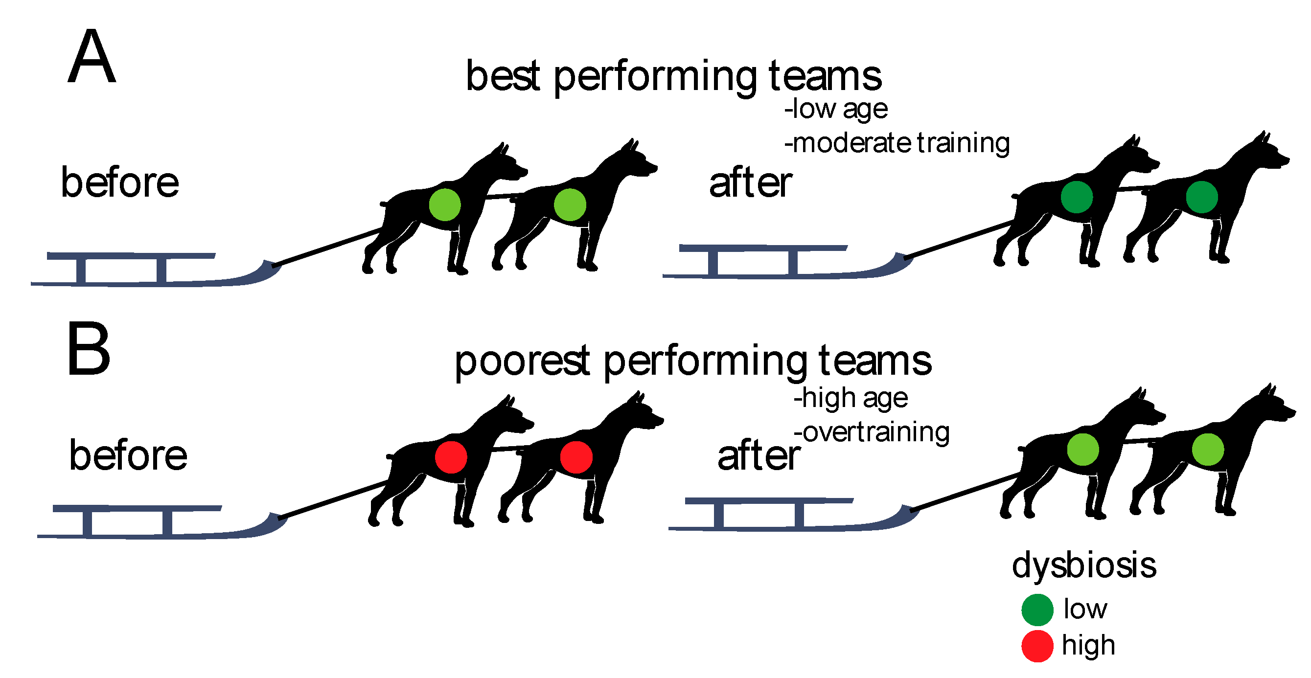 Animals 10 00204 g005 Animals 10 00204 g005