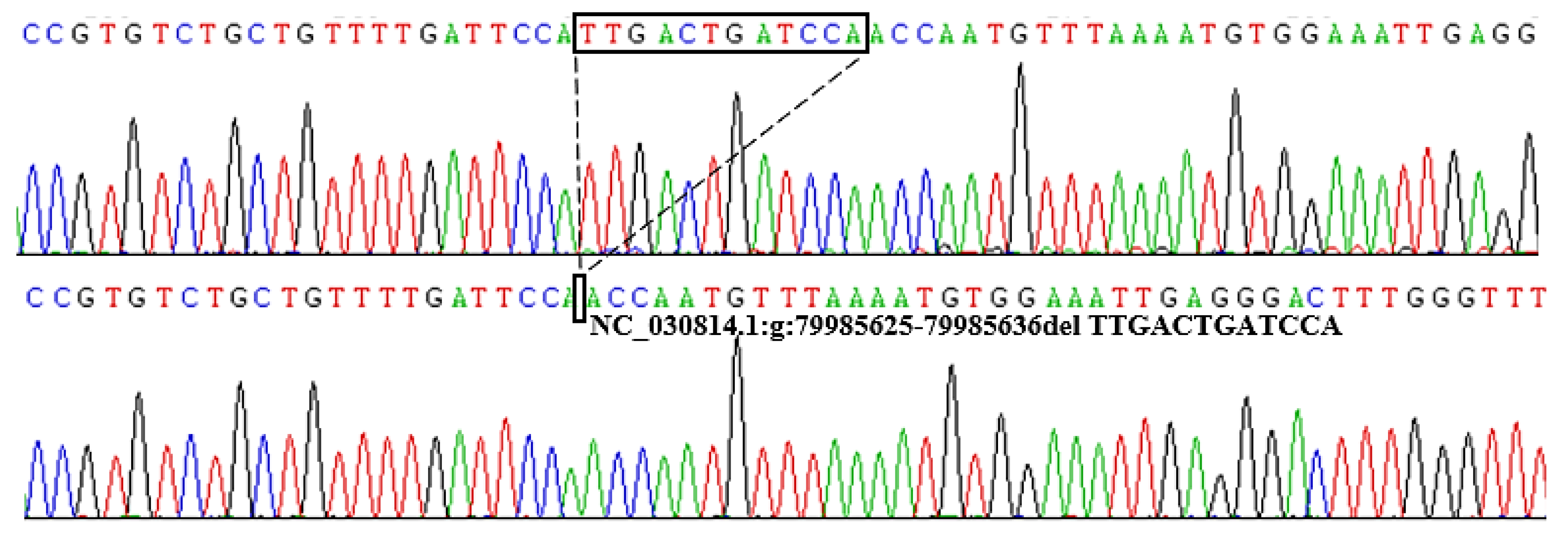 Animals 10 00208 g003
