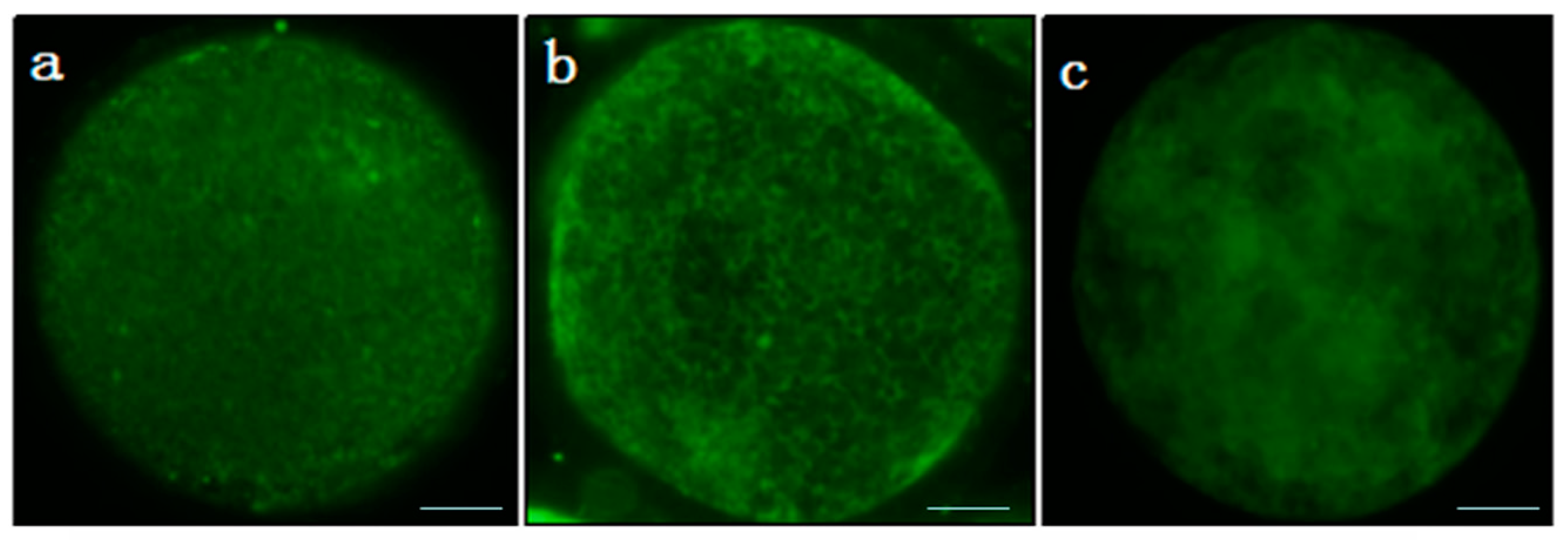 Animals 10 00209 g001