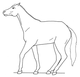 Animals 10 00210 i001