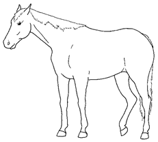 Animals 10 00210 i002