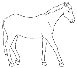 Animals 10 00210 i004