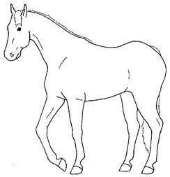 Animals 10 00210 i005