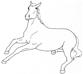 Animals 10 00210 i009