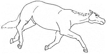 Animals 10 00210 i010