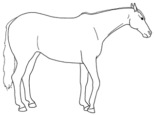 Animals 10 00210 i012