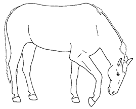 Animals 10 00210 i014