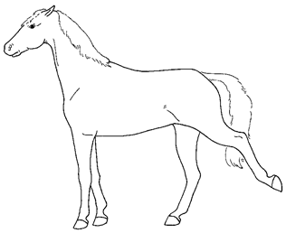 Animals 10 00210 i015