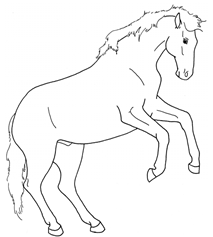 Animals 10 00210 i016