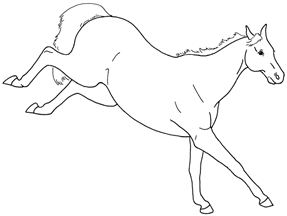 Animals 10 00210 i017