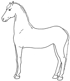 Animals 10 00210 i020