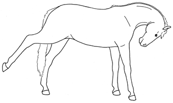 Animals 10 00210 i021