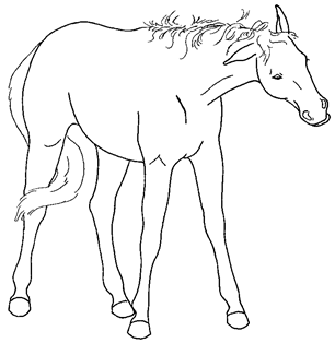 Animals 10 00210 i022