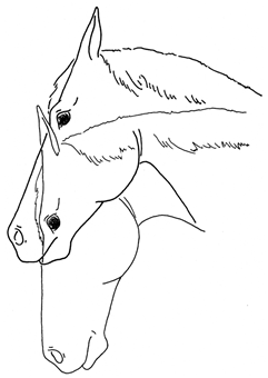 Animals 10 00210 i024