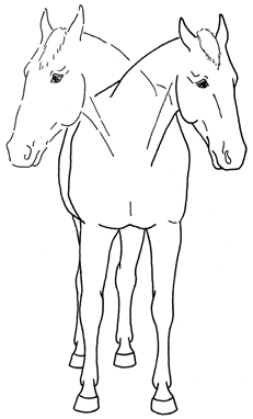 Animals 10 00210 i025