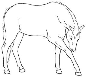 Animals 10 00210 i027