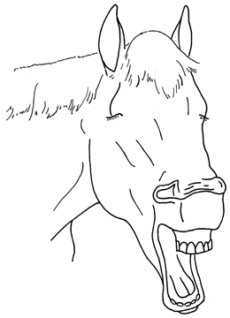 Animals 10 00210 i028