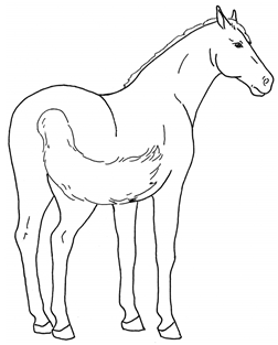 Animals 10 00210 i034