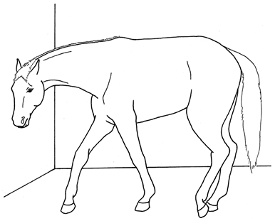 Animals 10 00210 i036