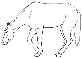 Animals 10 00210 i037