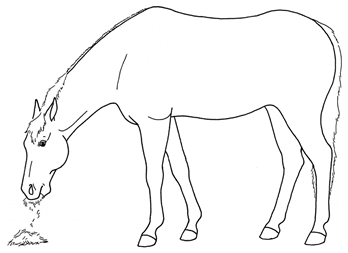 Animals 10 00210 i038