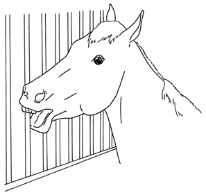 Animals 10 00210 i039