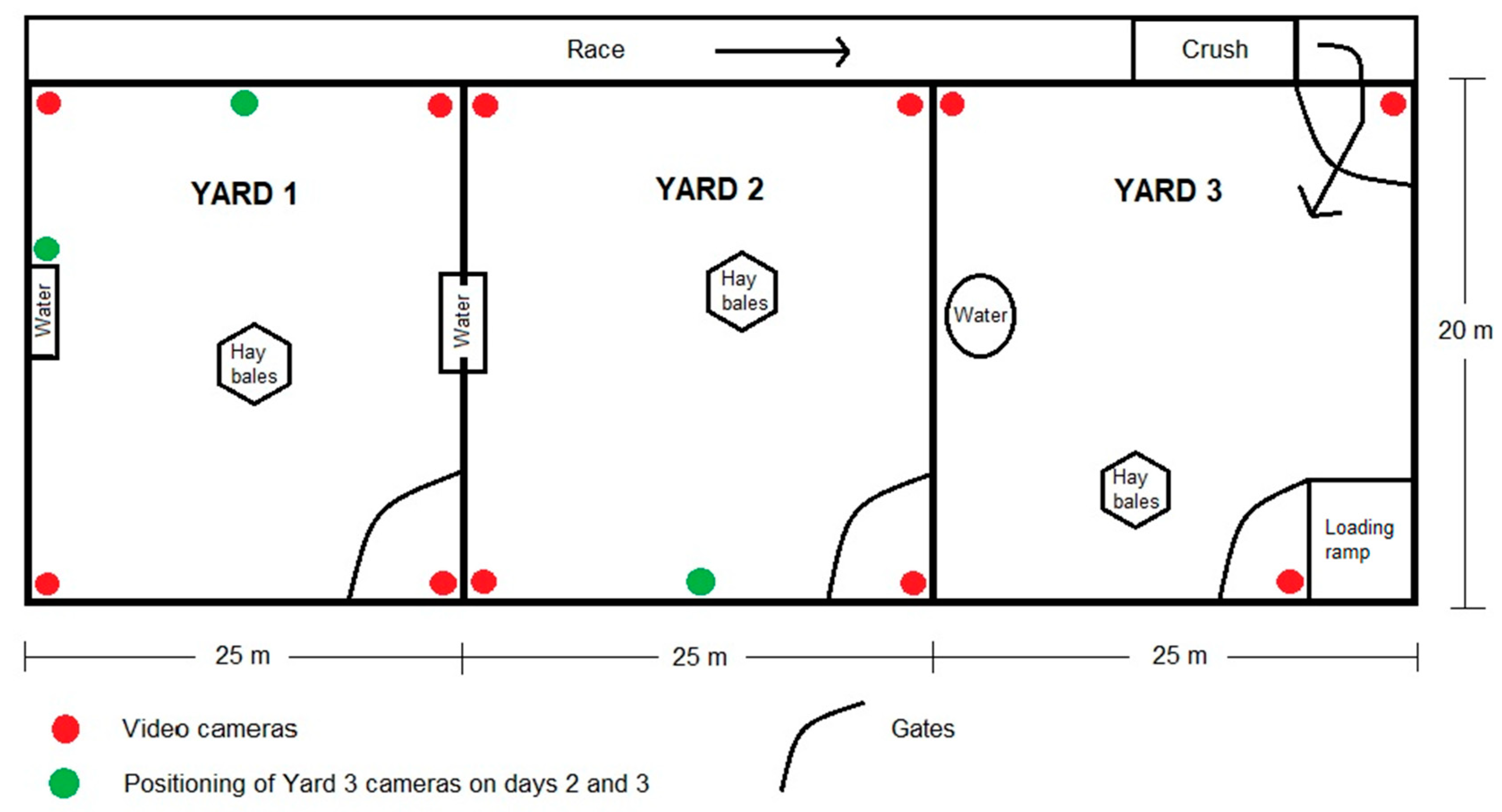 Animals 10 00249 g002