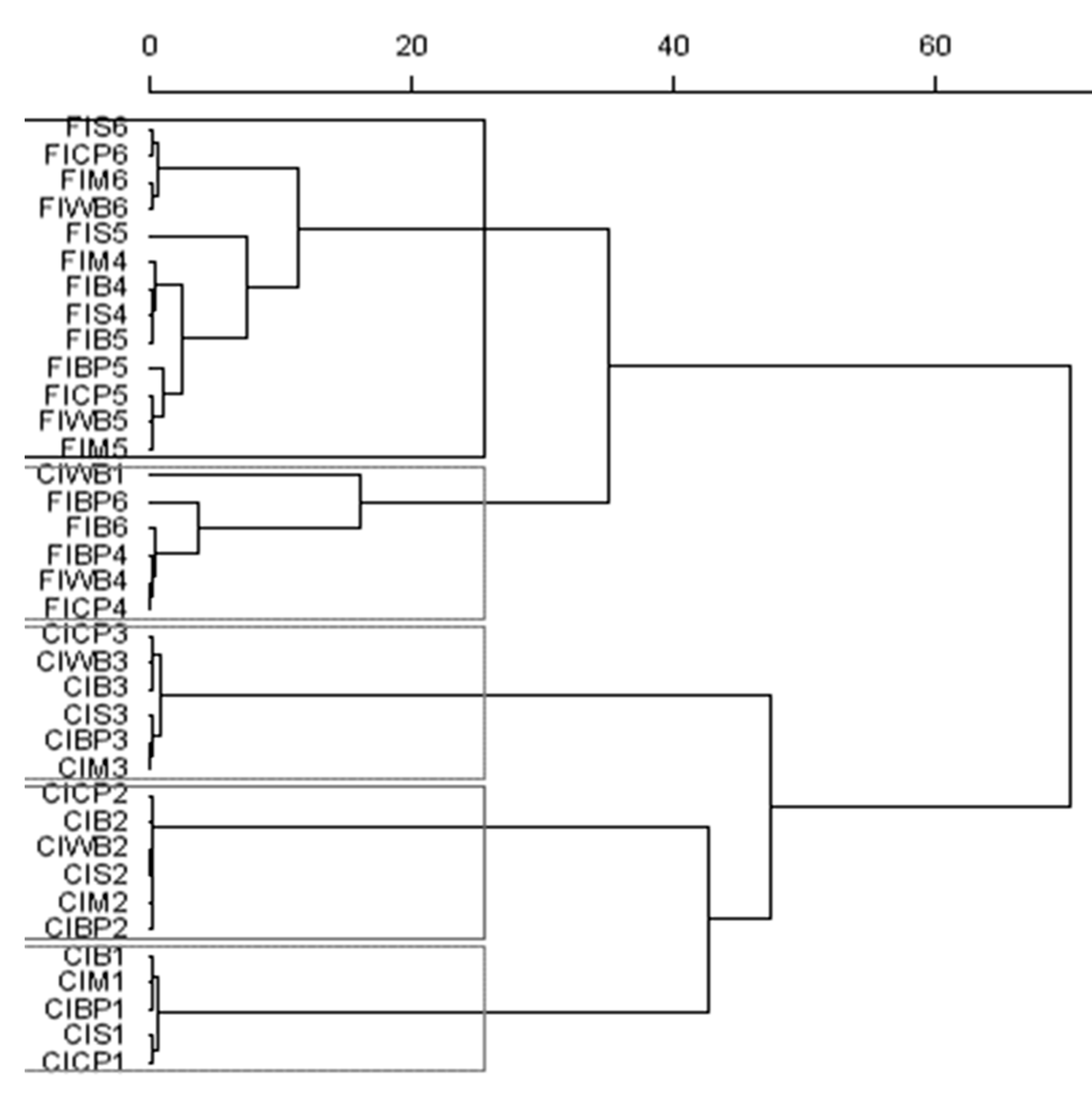 Animals 10 00261 g003