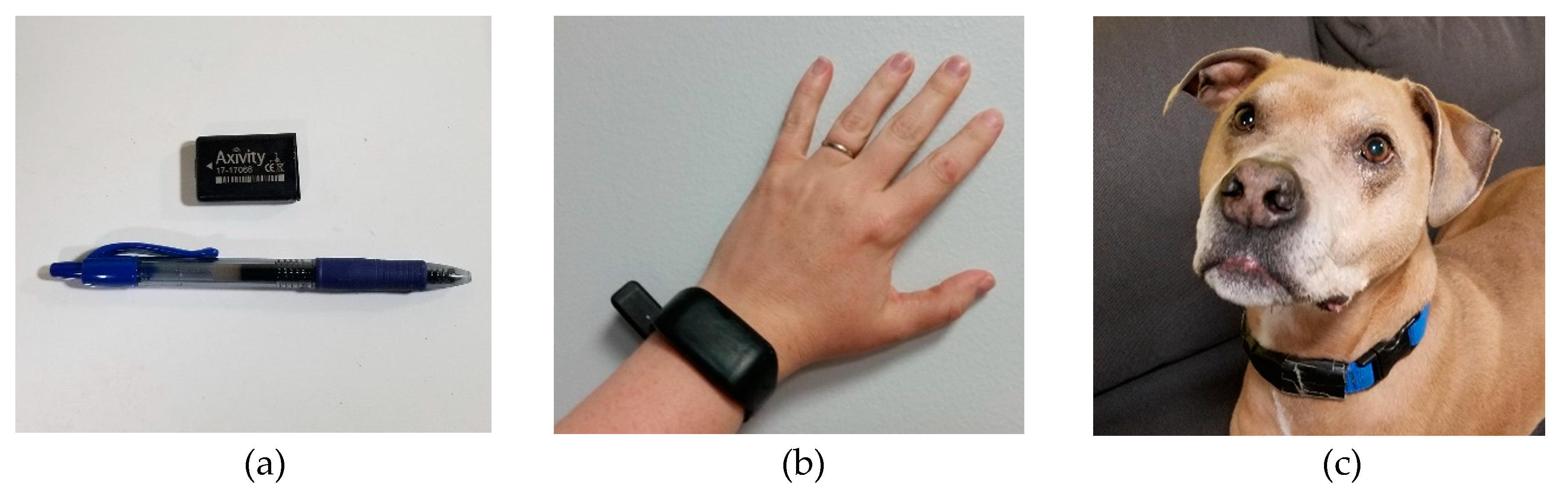 Animals 10 00278 g001