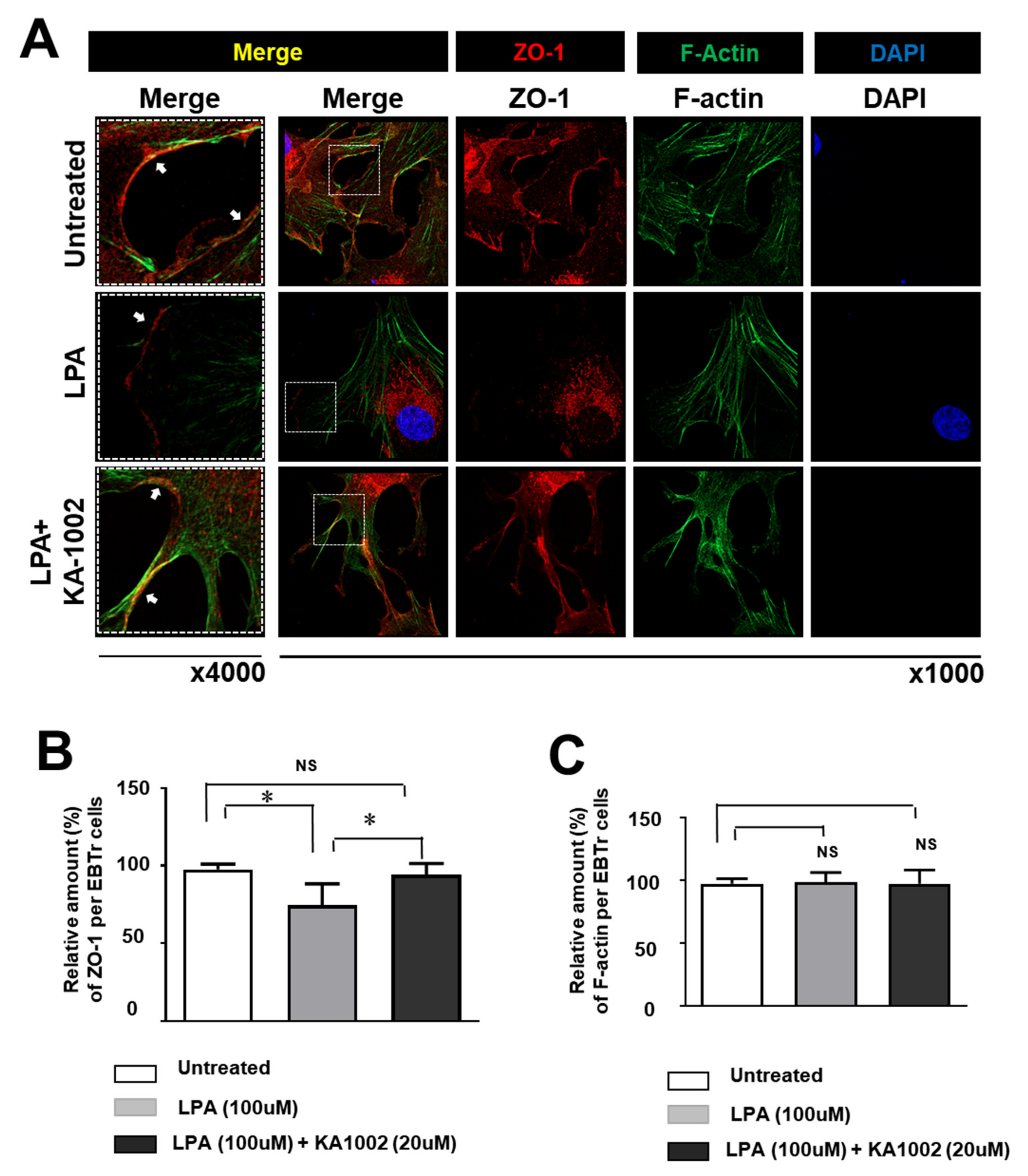Animals 10 00295 g003