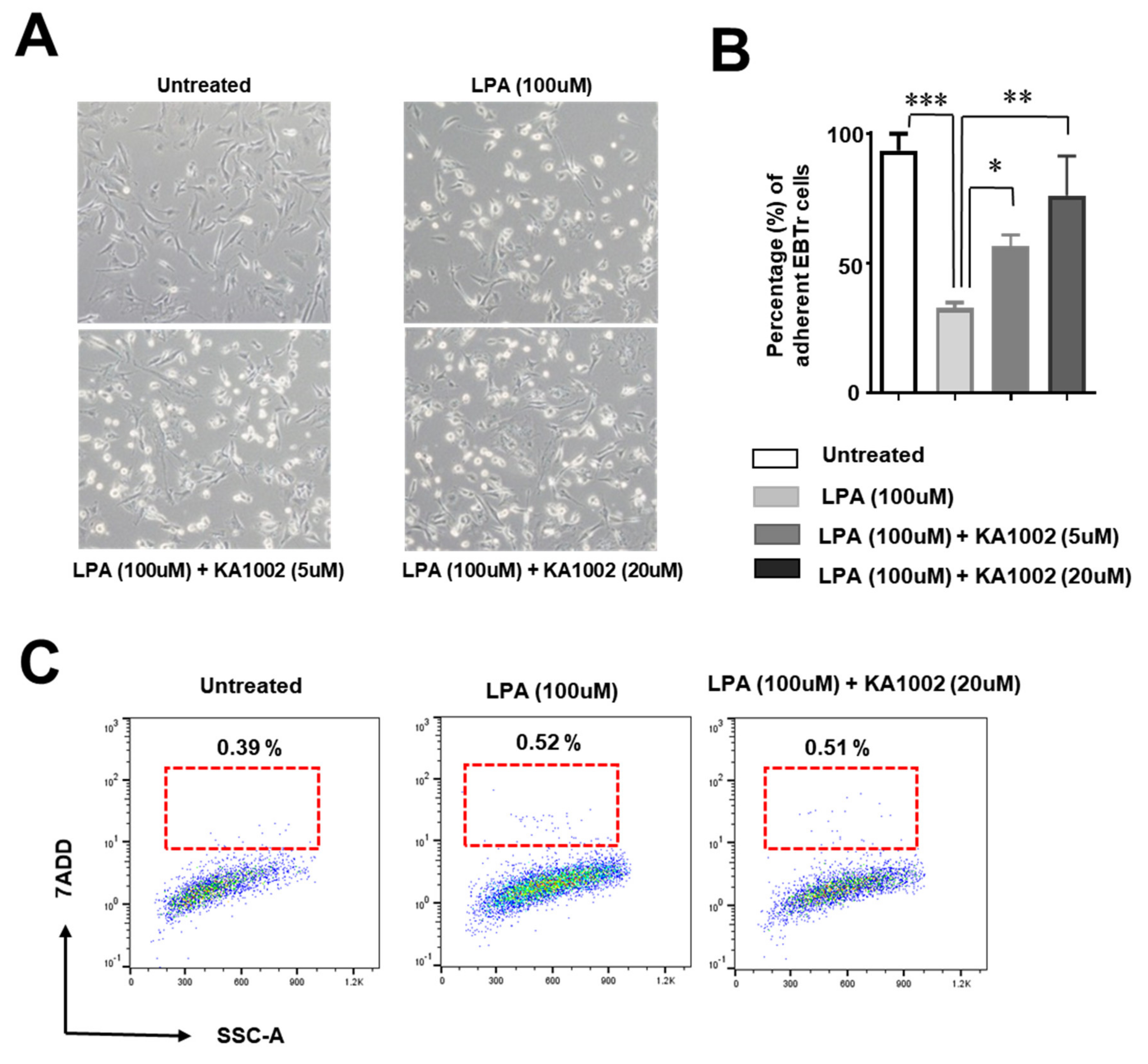 Animals 10 00295 g004