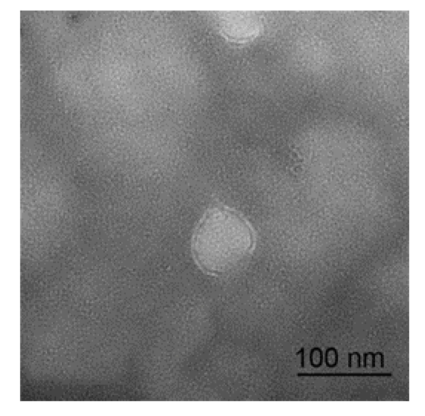 Animals 10 00331 g001