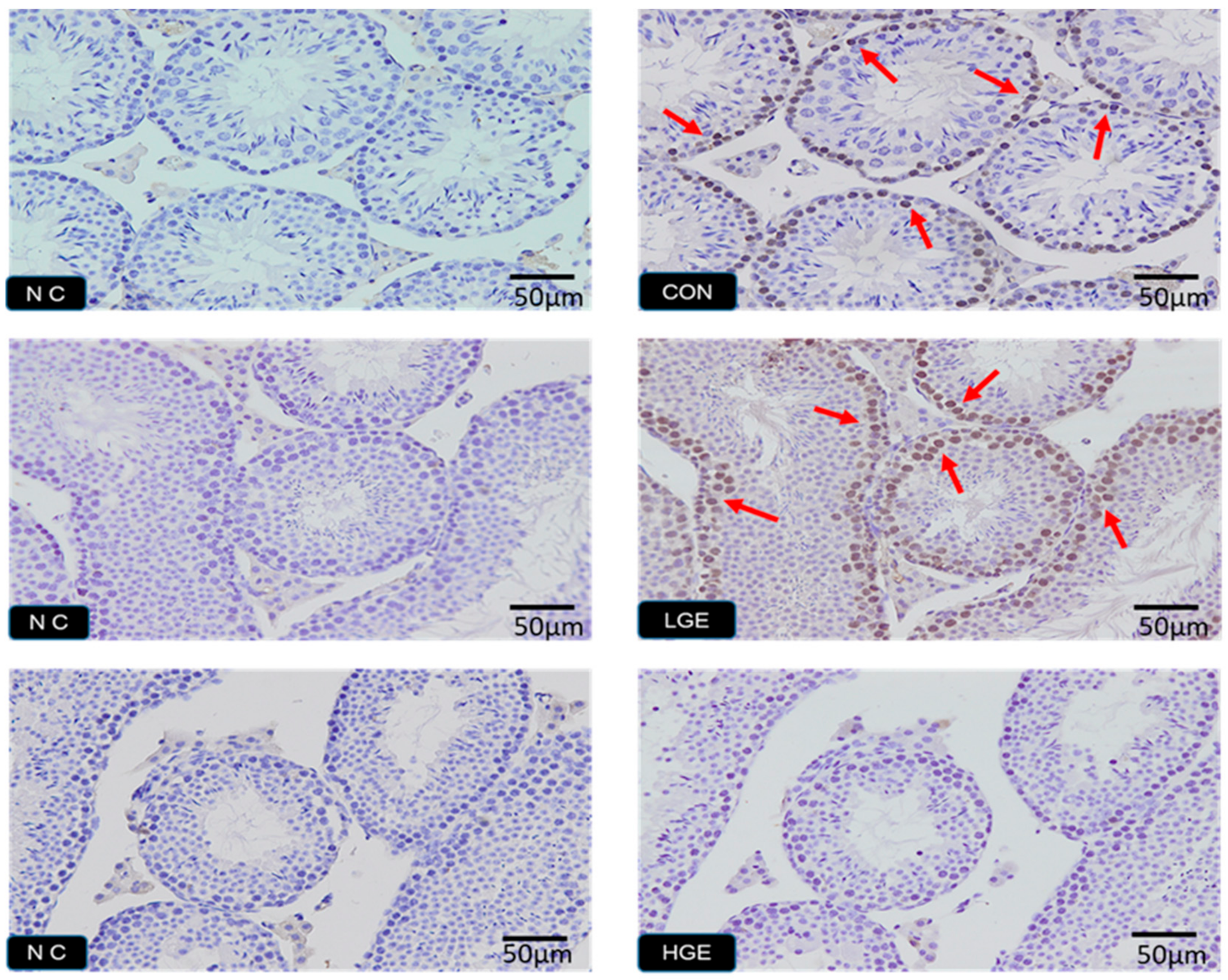 Animals 10 00377 g004 Animals 10 00377 g004