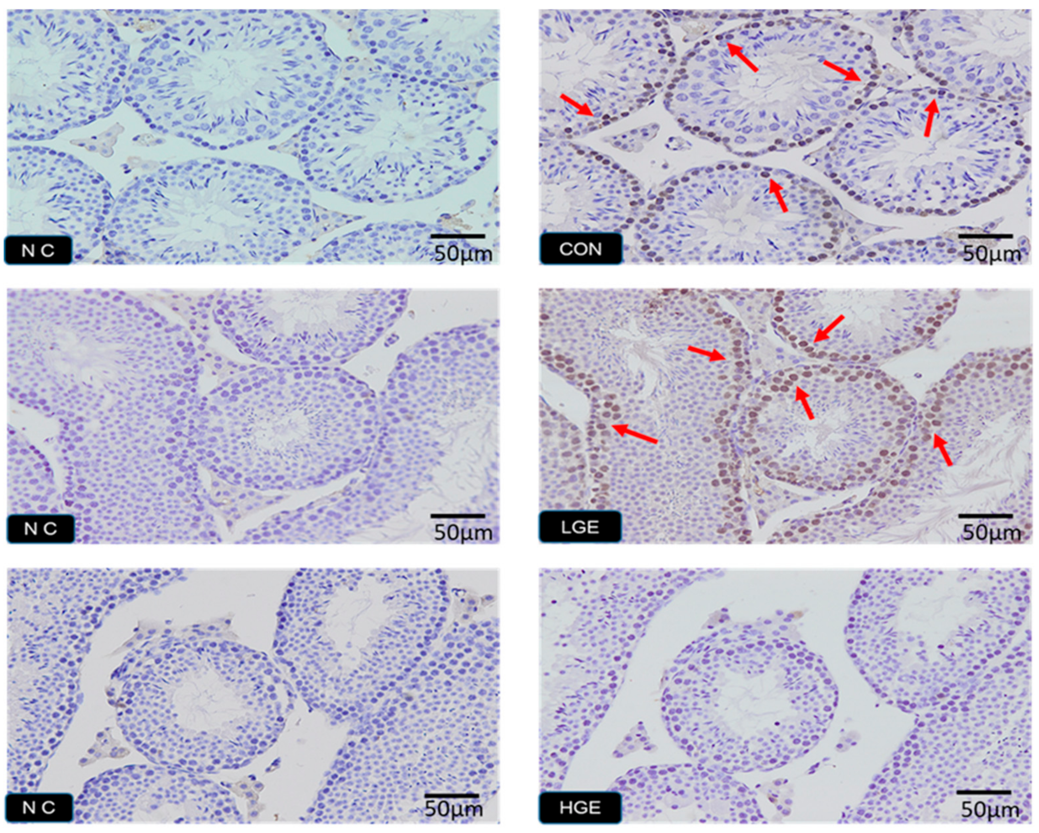 Animals 10 00377 g006 Animals 10 00377 g006