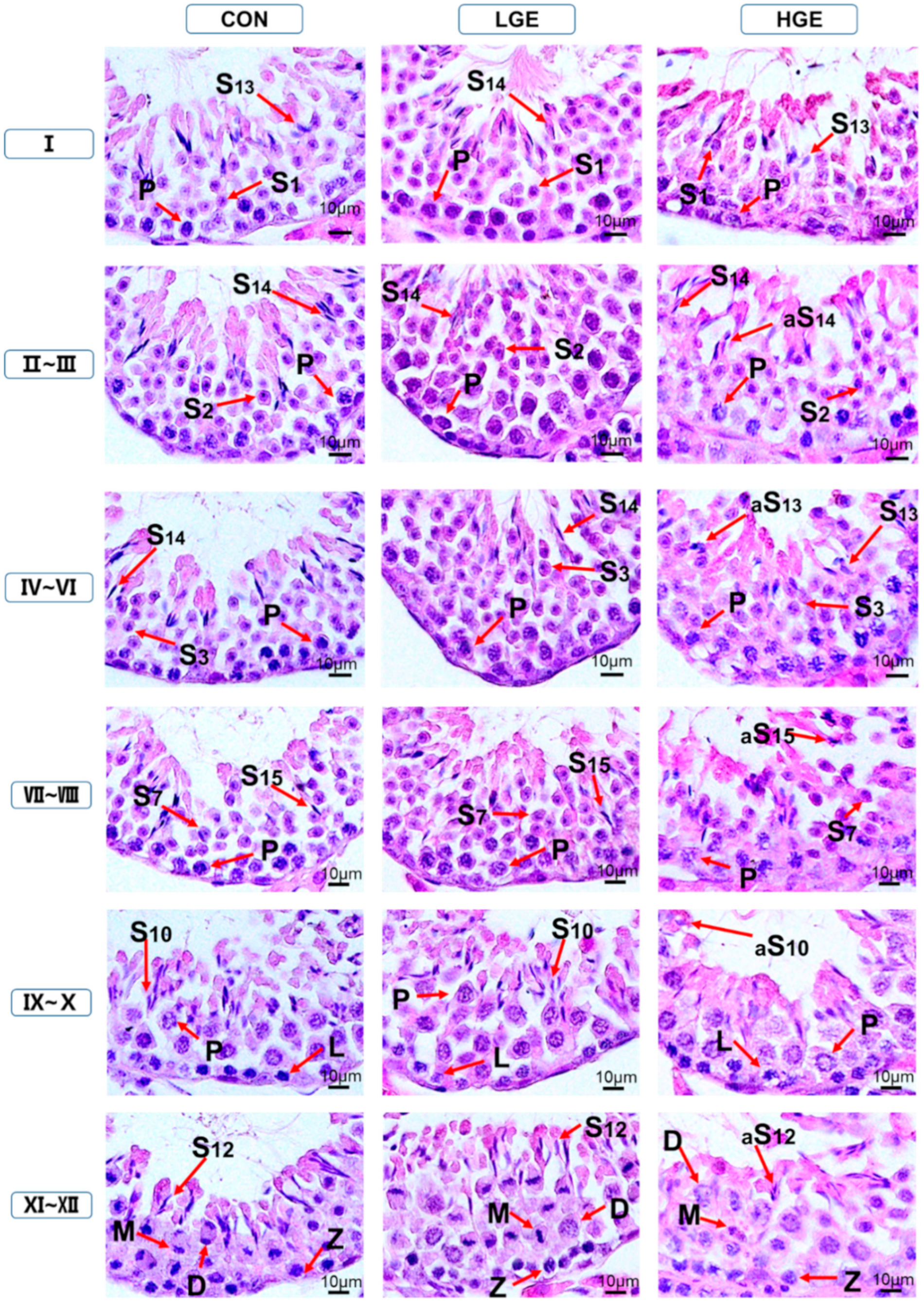 Animals 10 00377 g007 Animals 10 00377 g007