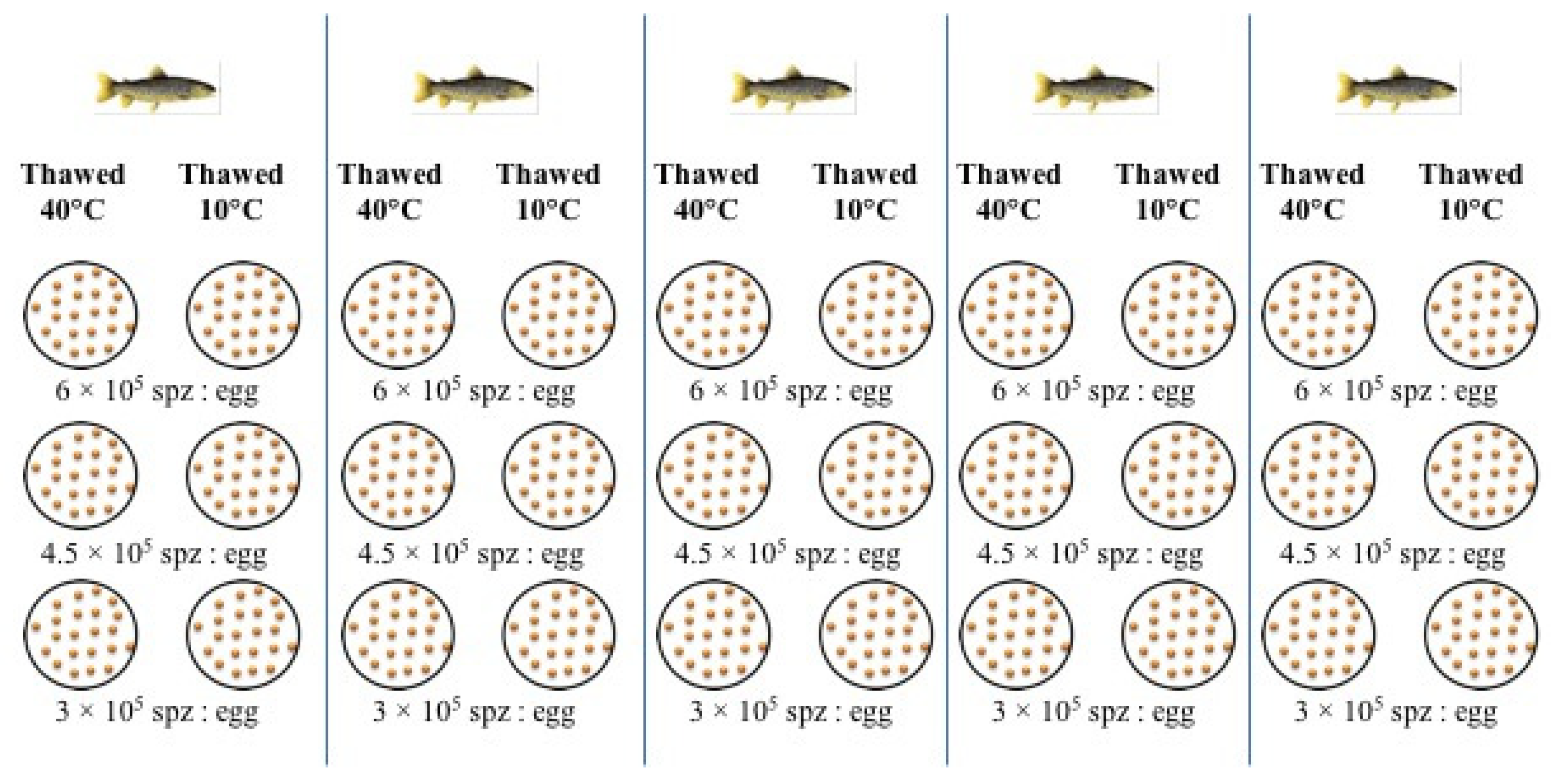 Animals 10 00403 g001