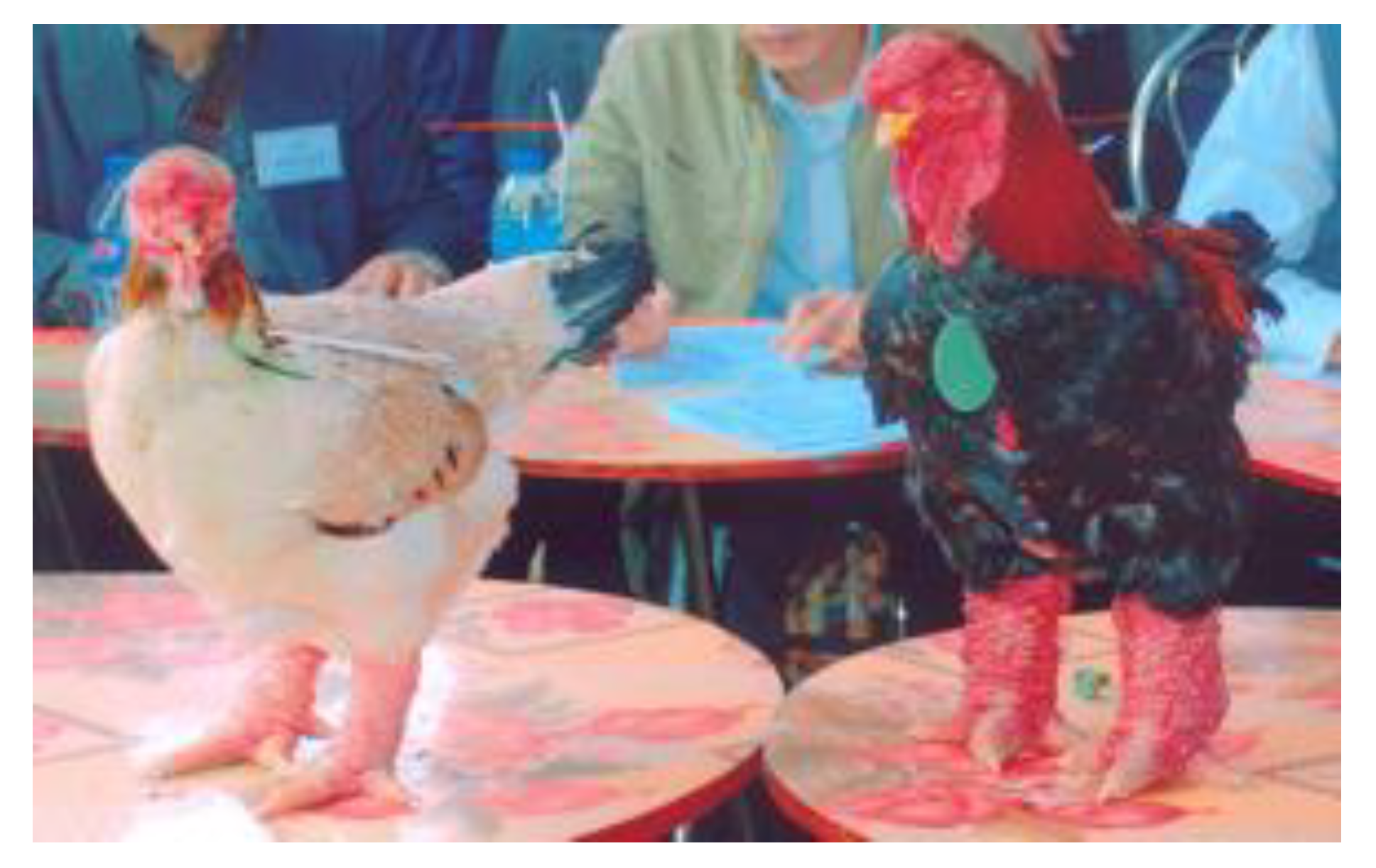 Animals 10 00408 g002 Animals 10 00408 g002