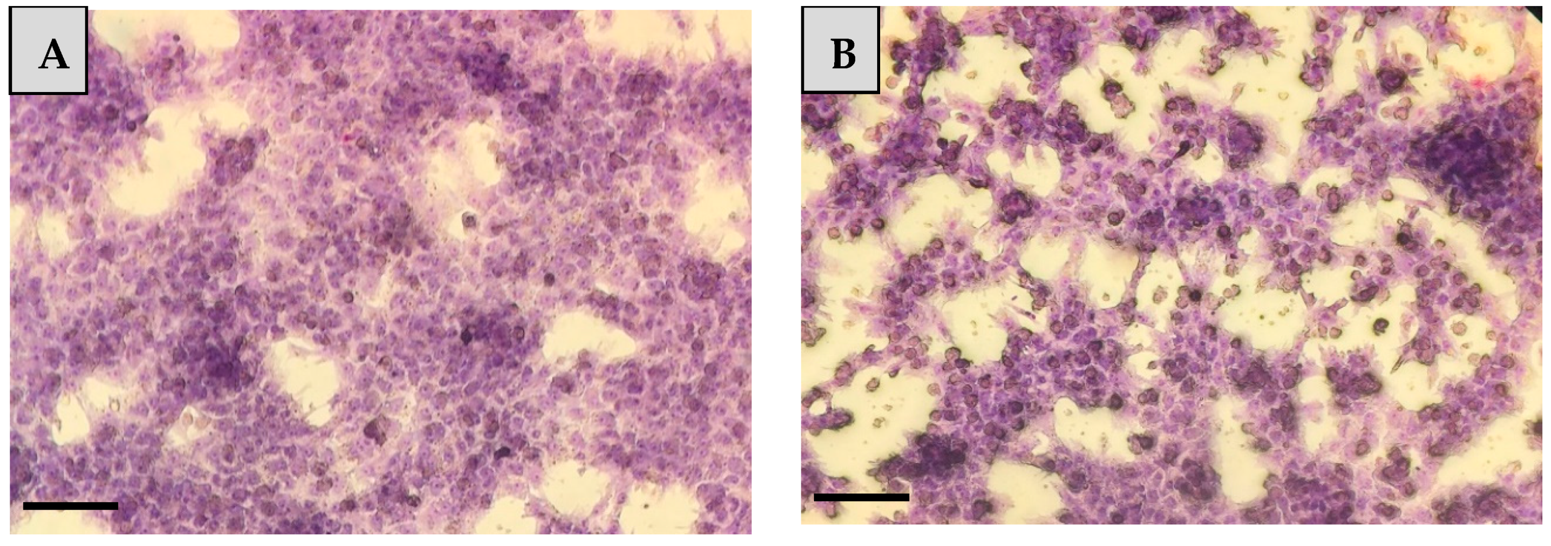 Animals 10 00409 g001 Animals 10 00409 g001