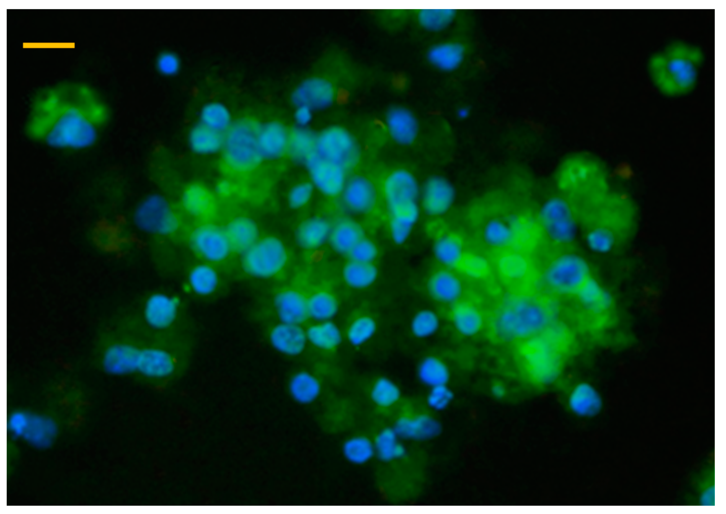 Animals 10 00409 g002 Animals 10 00409 g002