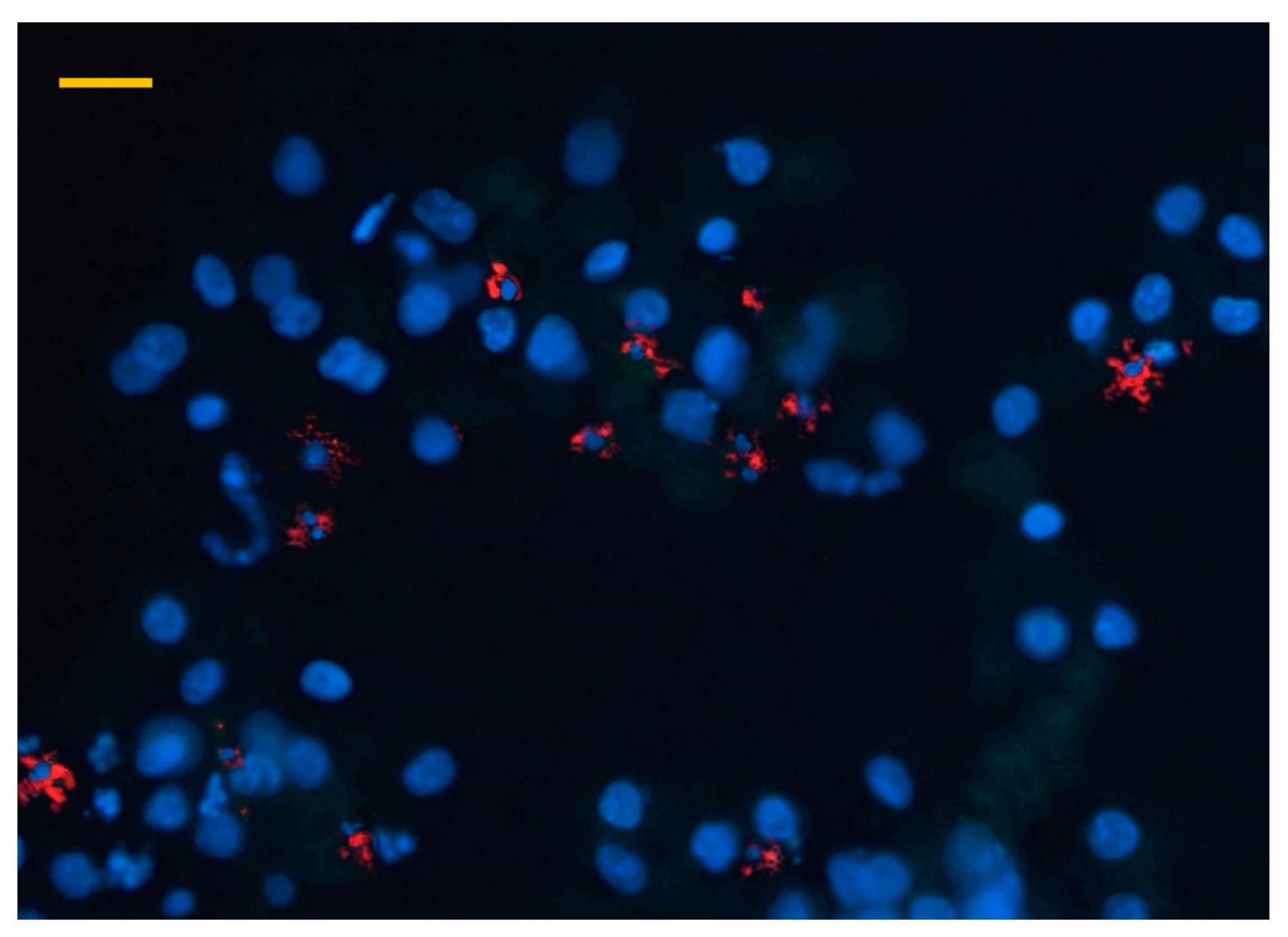 Animals 10 00409 g003 Animals 10 00409 g003