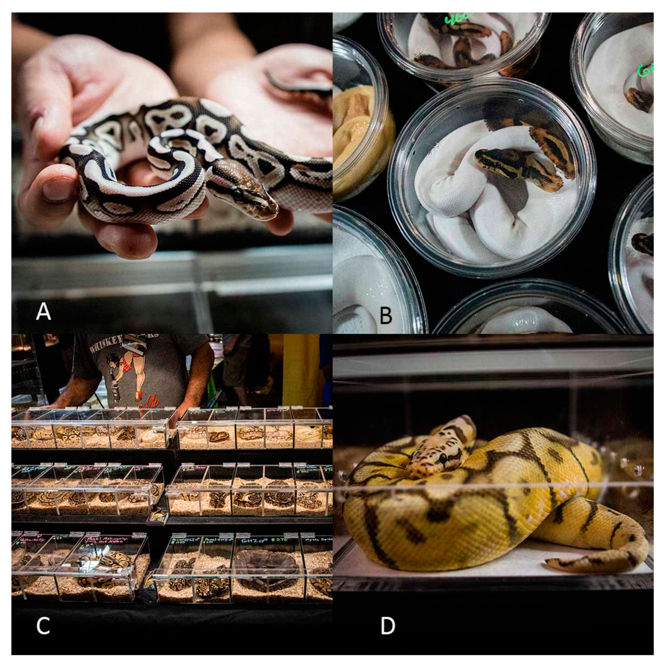 Animals 10 00413 g002 Animals 10 00413 g002