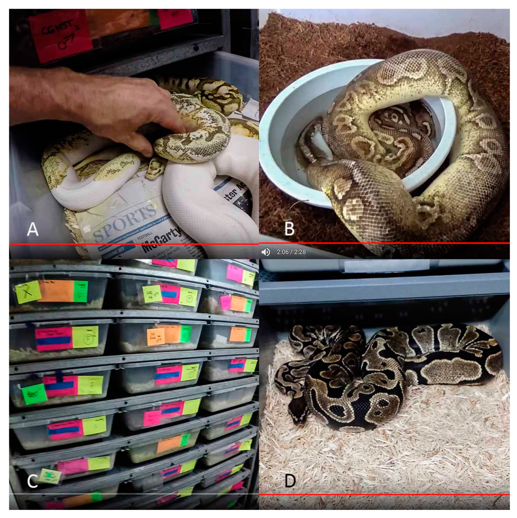 Animals 10 00413 g004 Animals 10 00413 g004