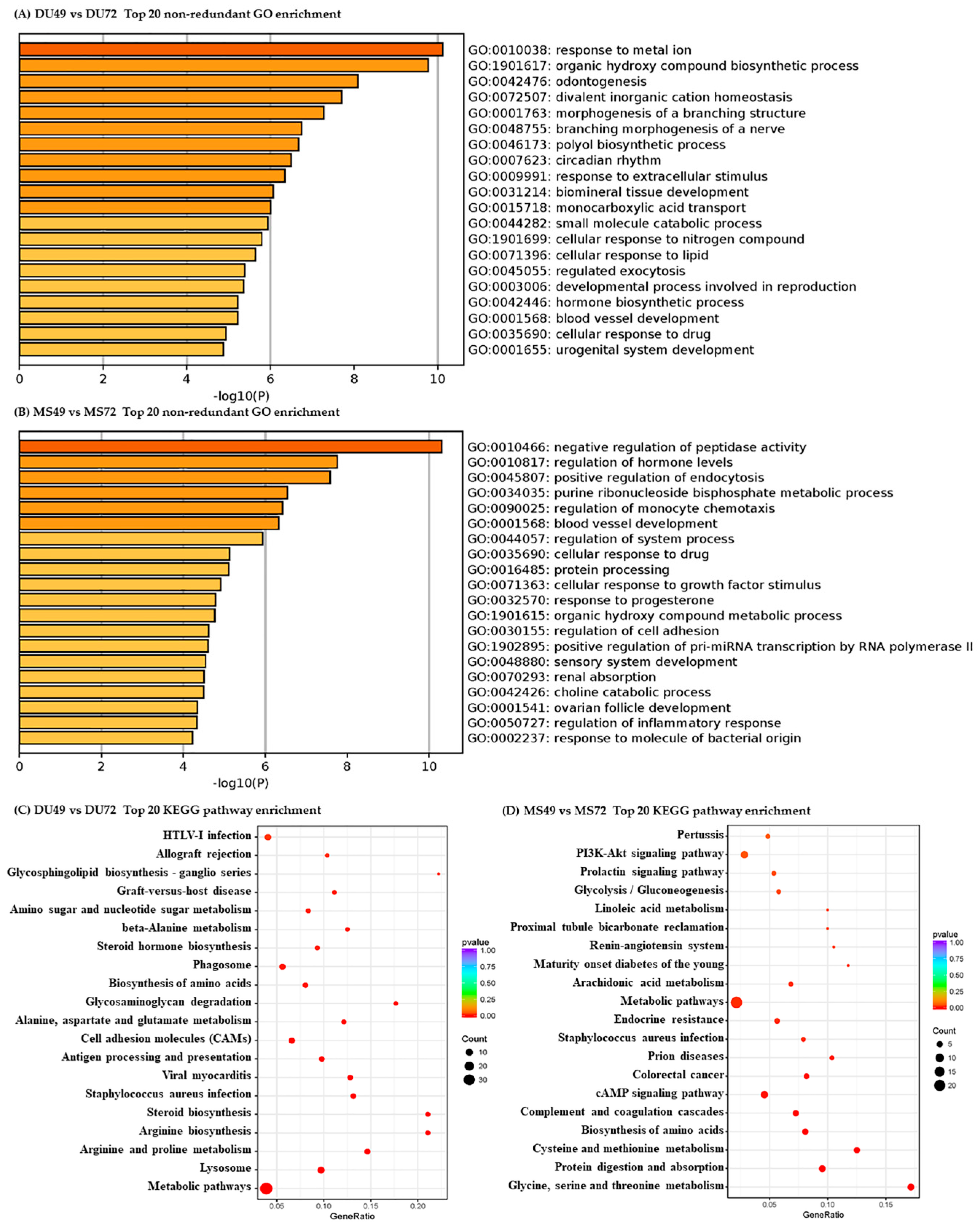 Animals 10 00420 g002