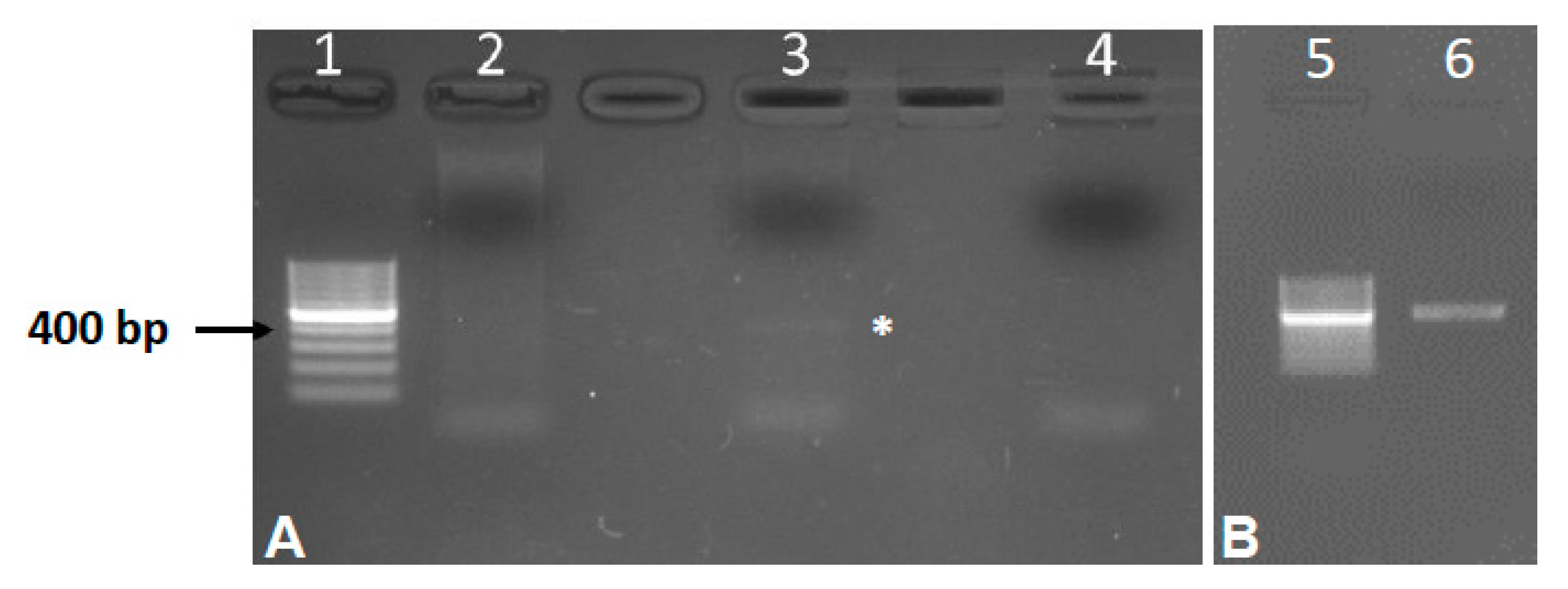 Animals 10 00456 g002 Animals 10 00456 g002